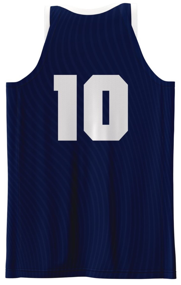 "Team USA" Jersey